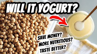 Vegan Yogurt Basics & Which makes BETTER yogurt? 🤜🤛Store-bought VS Homemade Soymilk #WillitYogurt