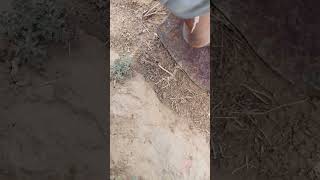 मेवाती सेक्सी वीडियो#मेवाती सेक्सी वीडियो Mewati sex video