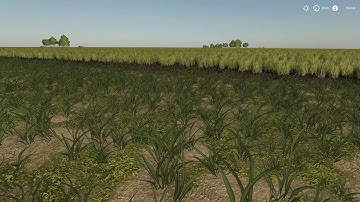 Road Ditches and Elevation Lua Script Results 2020-04-21 Farming Simulator 19