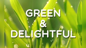 Green & Delightful, Level 157, Word Crush Answers, 4k.