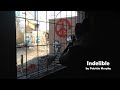 Indelible - The Story of Urbex &amp; Rurex in Ireland