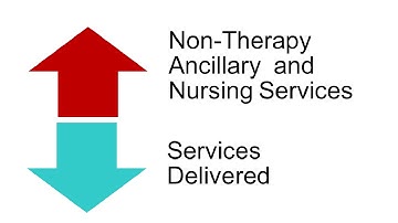 Webinar | Skilled Nursing Facility Patient Drive Payment Model (PDPM)