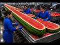 How Millions of Watermelon Juice are Made in Factory | Full Process