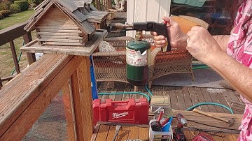 Hated Stink Bugs going to the flames of Hells Fire.