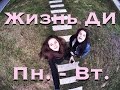 Жизнь ДИ | Хотели влоги? Без проблем