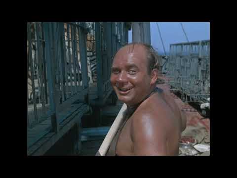 'ПОЛОСАТЫЙ РЕЙС'!!!Кормешка полосатиков!!!