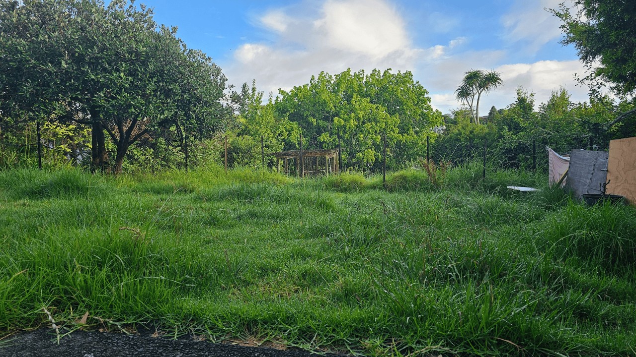 For YEARS No One Had Touched This Garden — Until The Daughter Called Us