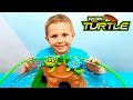 Робочерепашки с бассейном для детей. Обзоры игрушек с Даником. Robo Turtle for kids