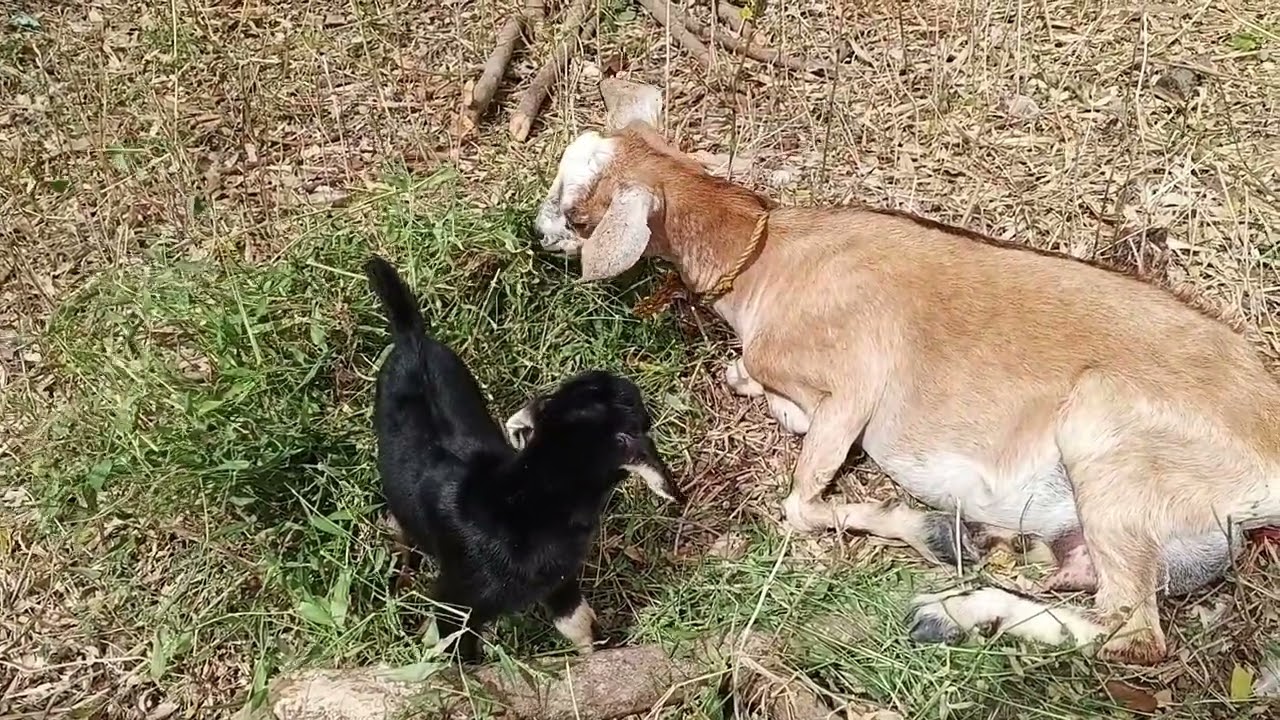 Cutest little kid another kid born today 