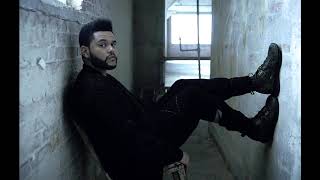 The Weeknd - Lonely Star (Lyric Video) Resimi