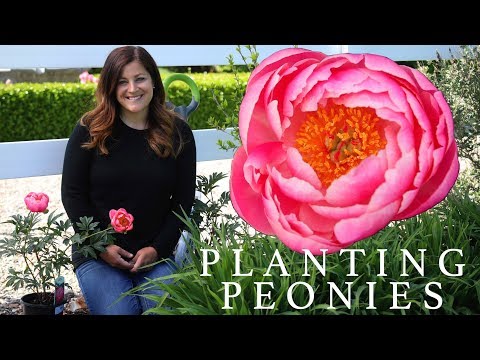 Video: Lunar Calendar Of A Florist And Gardener For April 2020, Garden Work In April