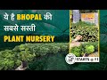 Cheapest Indoor Plant Nursery in Bhopal | Plants starting from ₹1 | Ghar Ki kheti Hindi