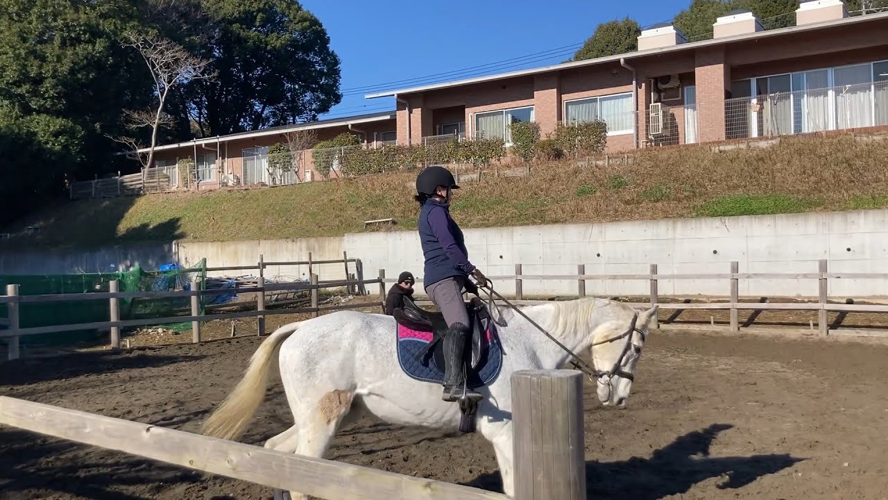 嫁　ギザパクにビビる