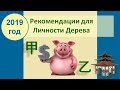 Рекомендации на 2019 год для людей Дерева