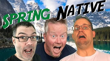 Spring Native in Action with the Okta Spring Boot Starter