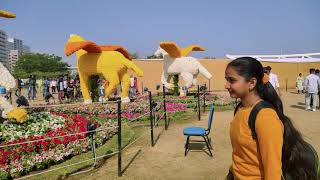 Flower Show Ahmedabad 2024