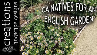 Top 3 California Native Plants For An English Cottage Garden