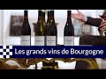 Les vins de Bourgogne, un trésor national
