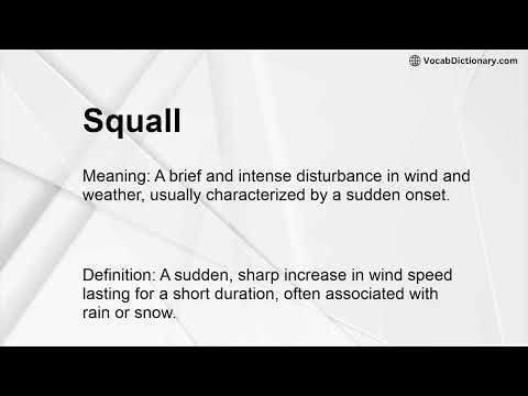 Squall Meaning