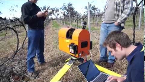 Vegetation and Canopy Mapping Using LiDAR