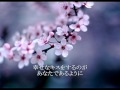 桜の時~Acoustic~(Cover)  aitan_shippo☆