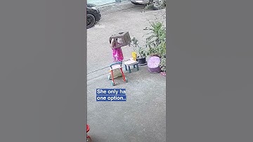 Toddler has excellent problem solving skills