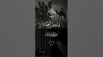 هذه بضاعتنا ردت إلينا محمود الشحات أنور القرآن الكريم 