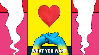 Watch SleaterKinney Not What You Want video