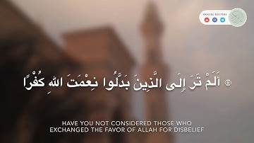 سورة ابراهيم بصوت القارئ حاتم المالكي