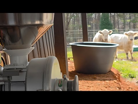 This Grinder Is a BEAST VEVOR 3000W Grain Mill Review