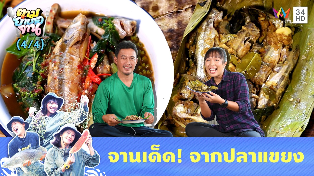 จานเด็ด! จากปลาแขยง | ตามอำเภอจาน | 3 มี.ค. 69 (4/4)