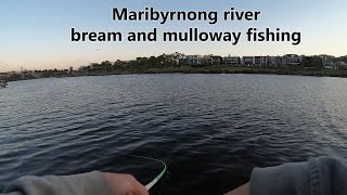 Lure fishing for Bream and Mulloway | Maribyrnong river BIG BREAM #bream #mulloway #lures #landbased screenshot 5