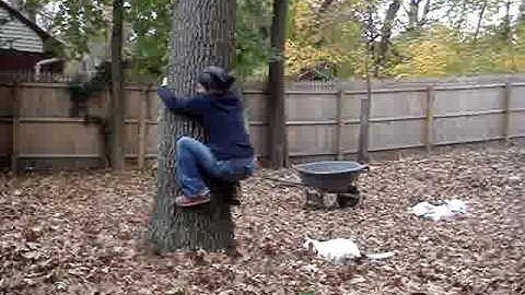 Tree Hugging Meditation for Stress Reduction