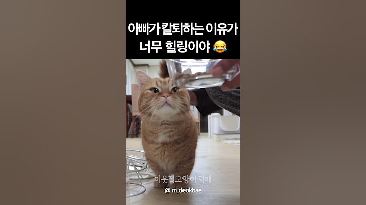 아빠가 칼퇴하고 집에 달려오는 이유 😂❤️