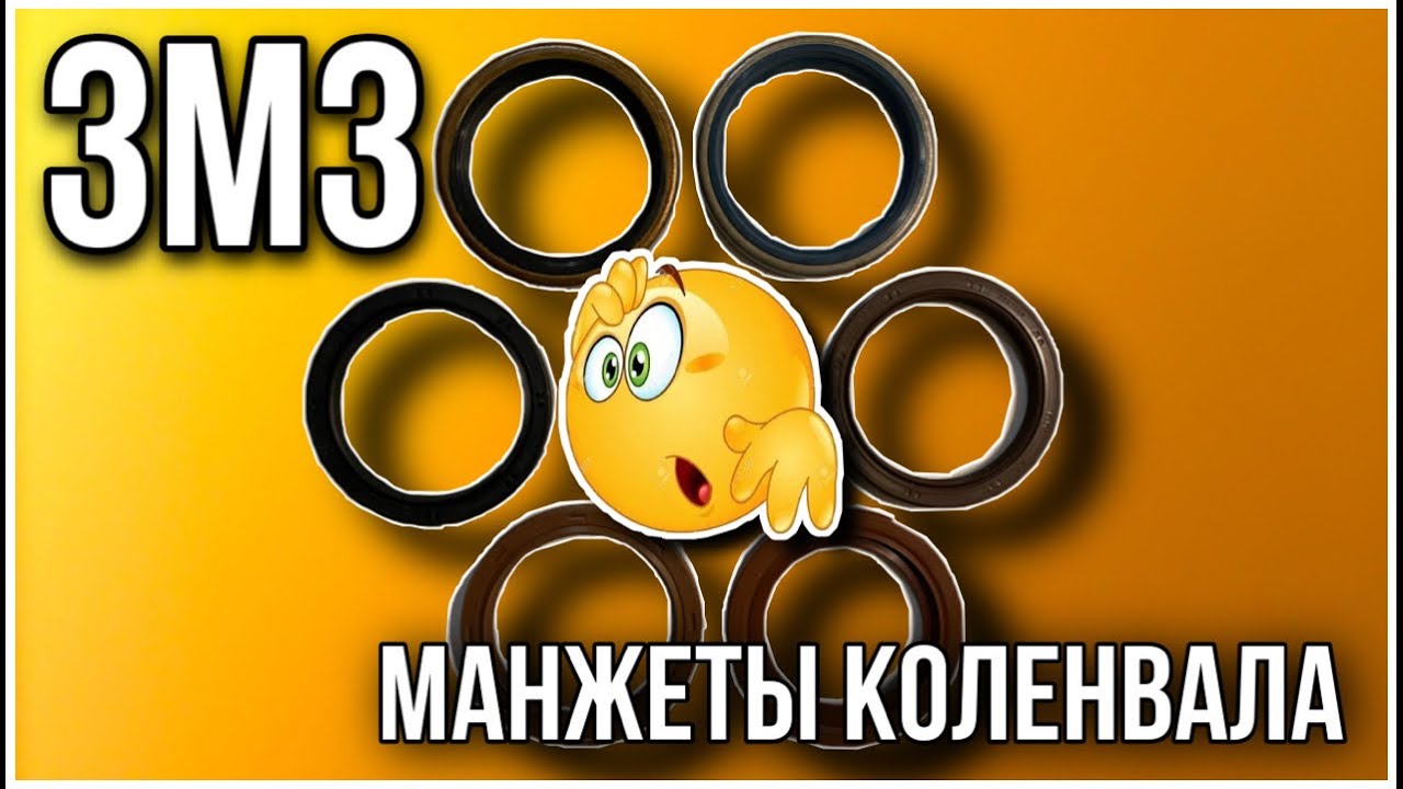Сальники змз 406