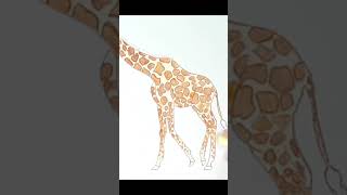 How to draw GIRAFFE /  from SHAPES / ANIMALS / CARTOON / color pencil / Step by step / #shorts