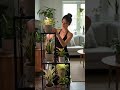 Indoor Plant Stand with Grow Lights #homegarden, #indoorgarden, #plantlover, #plantcare, #greenhome