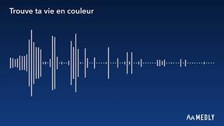Video thumbnail of "La Coloration - Trouve ta vie en couleur (official instrumental)"