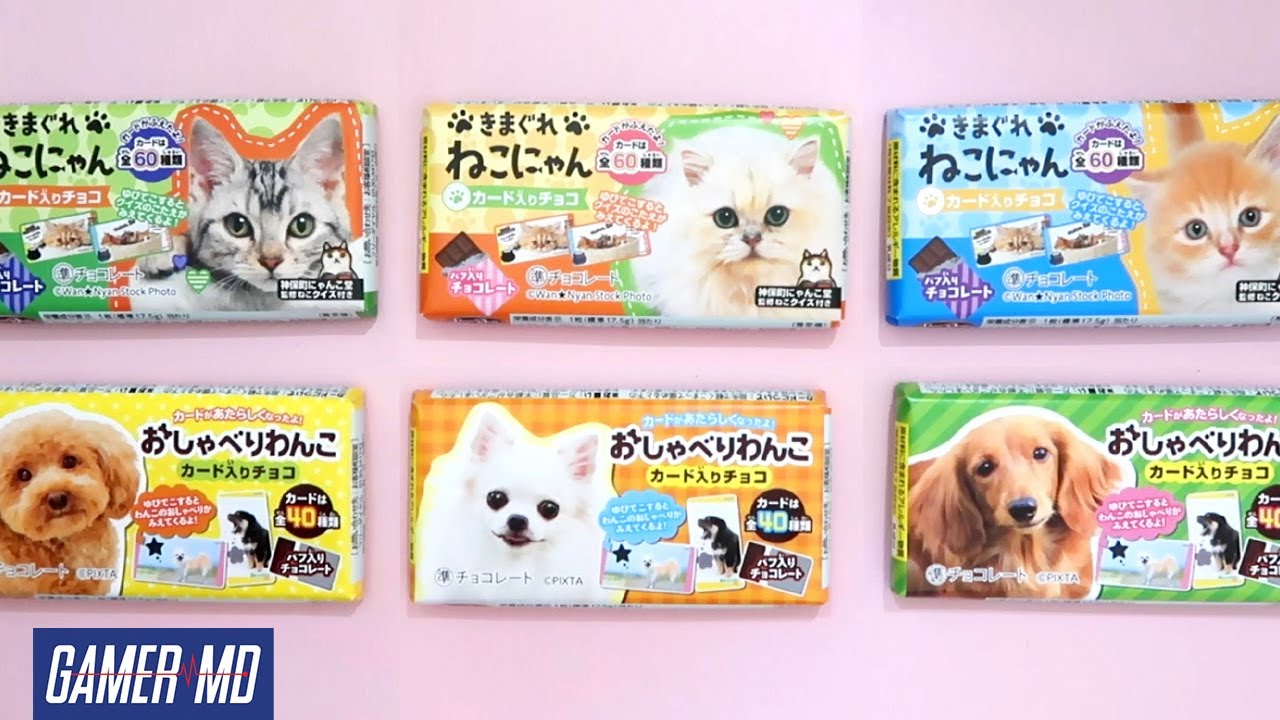 Moody Kitty and Chatty Doggy Chocolate | Kimagure Nekonyan