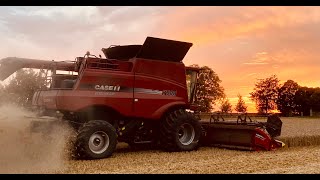 2021 wheat harvest starts just as the weather turns colder & it starts raining