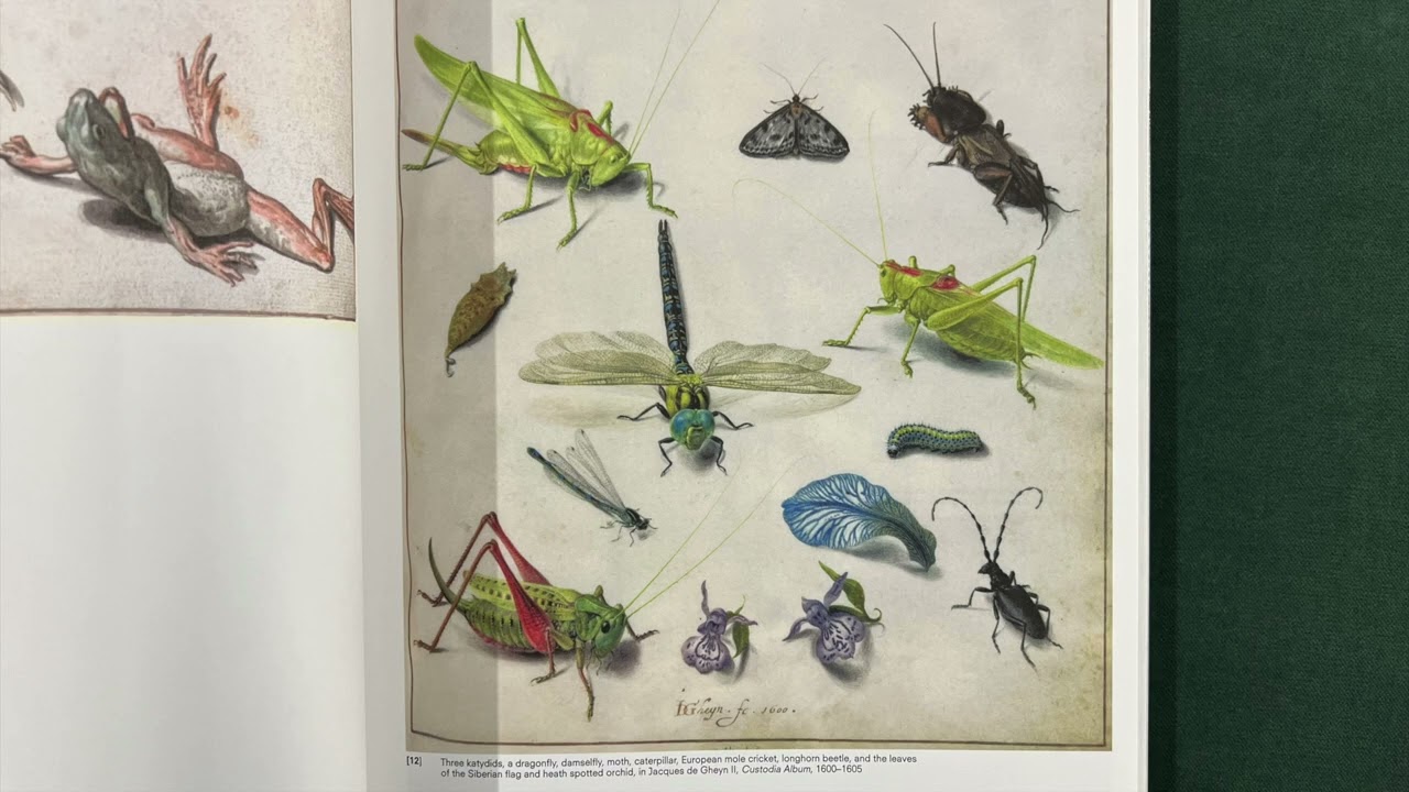 A Day at the Zoo with Crawly Creatures