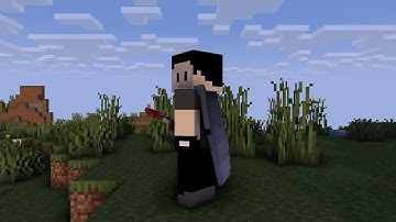 Minecraft Elytra Fly Animation #MINECRAFT #Animation #mine-imator