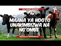 MAANA YA NDOTO UNAKIMBIZWA NA NG OMBE MWL FRANK BWENGE MAANA YA NDOTO UNAKIMBIZWA NA NG OMBE MWL FRANK BWENGE