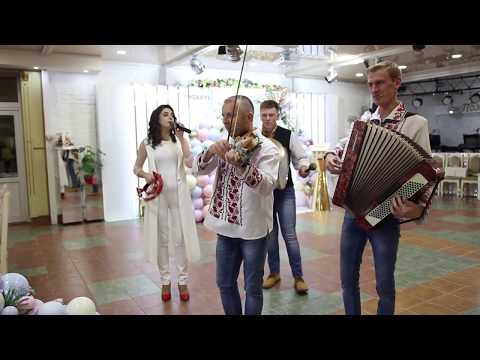 гірко Дружці 