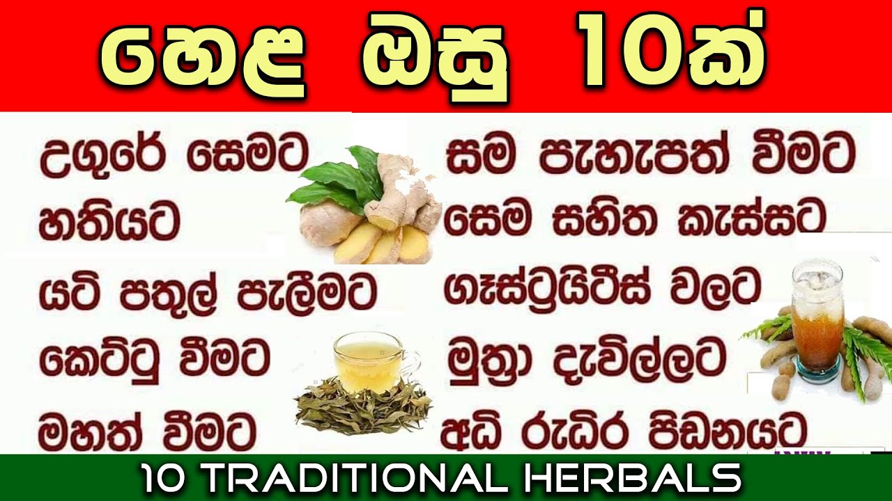 පාරම්පරික හෙළ ඔසු 10ක් 10 Traditional Herbals in Sri Lanka KMJ TV