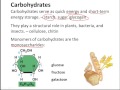 The Essential Elements of Life and Their Role in Organic Molecules