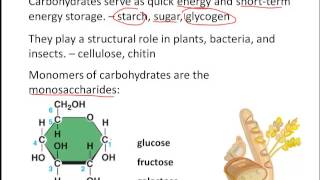 Unit Review- Chemistry of Life