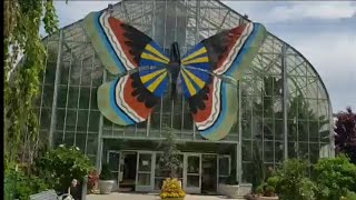 🦋 Krohn's Butterfly Show | Butterflies of the Nile | Krohn Conservatory Butterfly Show 🦋