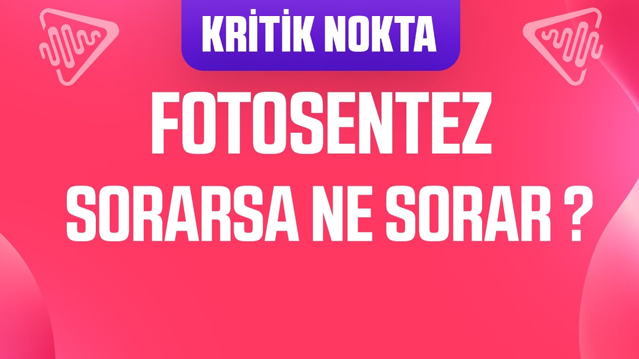 Fotosentez ile ilgili SORARSA NE SORAR ?