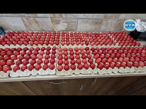 Доброволци боядисват в